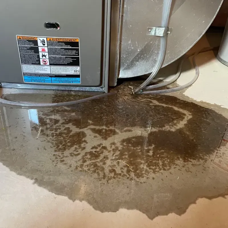 Appliance Leak Cleanup in Bull Valley, IL